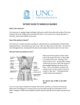 meniscus surgery-RAC-JTS