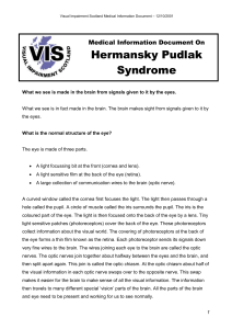 Hermansky Pudlak