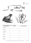 Name - SMIC Biology