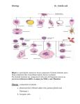 blood cells