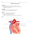 circulatory-system-notes-final