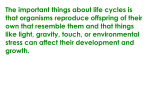 The important things about life cycles is that organisms reproduce