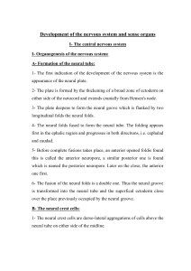 Development of the nervous system and sense organs I