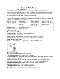 File - Mrs. Rothenberg`s Science