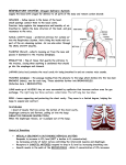 Respiratory System