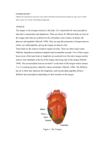 The bit used for relationship between smell and taste