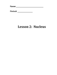 Name: Period: Lesson 2: Nucleus Lesson 2: What Does the Nucleus