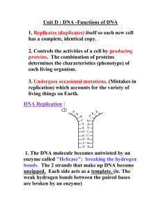 Unit D : DNA -Functions of DNA - Mr. Lesiuk