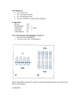 Cell Membrane