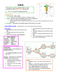 VIRUS - C. Shirley Science EJCHS