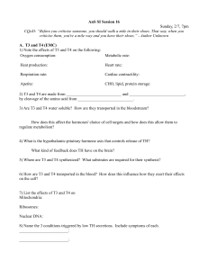 Session 16 Worksheet