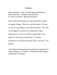 Nutrients and the structure of macromolecules File