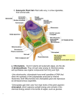 Chapter 6: Cells 2