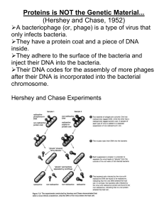 Hershey and Chase`s Experiment