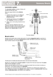 KS3 Science