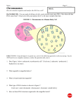 Chromosomes - TJ