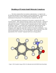 Modeling of Protein-Small Molecule Complexes