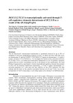 HOX11L2/TLX3 is transcriptionally activated through T-cell