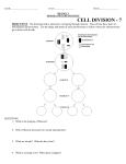 cell division - 7 - Mugans Biology Page