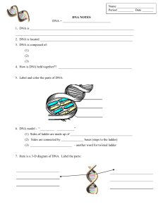 dna notes - TinyURL.com