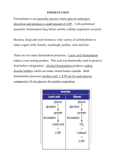 FERMENTATION