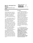 Lab 4 Isolation of Total RNA from C. elegans