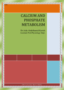 CALCIUM AND PHOSPHATE METABOLISM