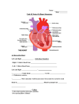 Unit K Notes #1 Heart Structure Fill In - Mr. Lesiuk