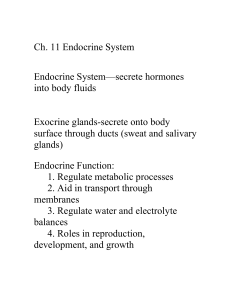 Endocrine System—secrete hormones into body fluids