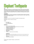 Experiement. Elephant toothpaste. scieitifc report. term1.2o12