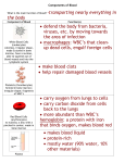 Components of Blood note sheet