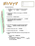 dna ppt ques – ANSWERS2