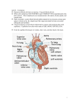 Lab #6 – Circulation