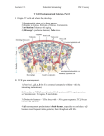 T Cell Development and Selection, Part I