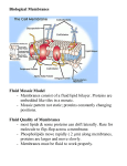 Biological Membranes