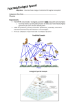 Food web check point