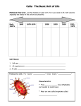 Label the organelles in the animal cell (see page 175