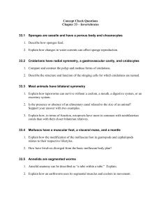 Concept Check Questions