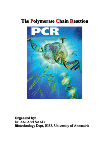 2- pcr primer design and reaction optimisation