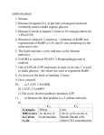 Calvin Cycle Answers