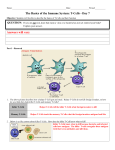 Day 7 Basics of the Immune System T-Cells - Answer