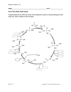 Blackline Master 4.2-2 NAME: DATE: 4.2