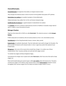 Nitrogen Fixation