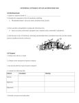 Cell Transport/Cell Cycle/Meiosis Study Guide