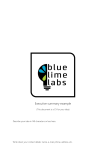- Blue Lime Labs