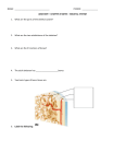 NAME: PERIOD: ANATOMY – CHAPTER 5 NOTES – SKELETAL