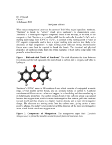 Dr. Whitesell Chem 151 16 February 2014 The Queen of Fruit What