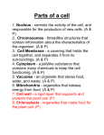 From Cells to Systems