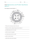 13.2 Ribosomes and Protein Synthesis 366-371