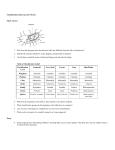 Classification, Bacteria, and Viruses Short Answer 1. How does the